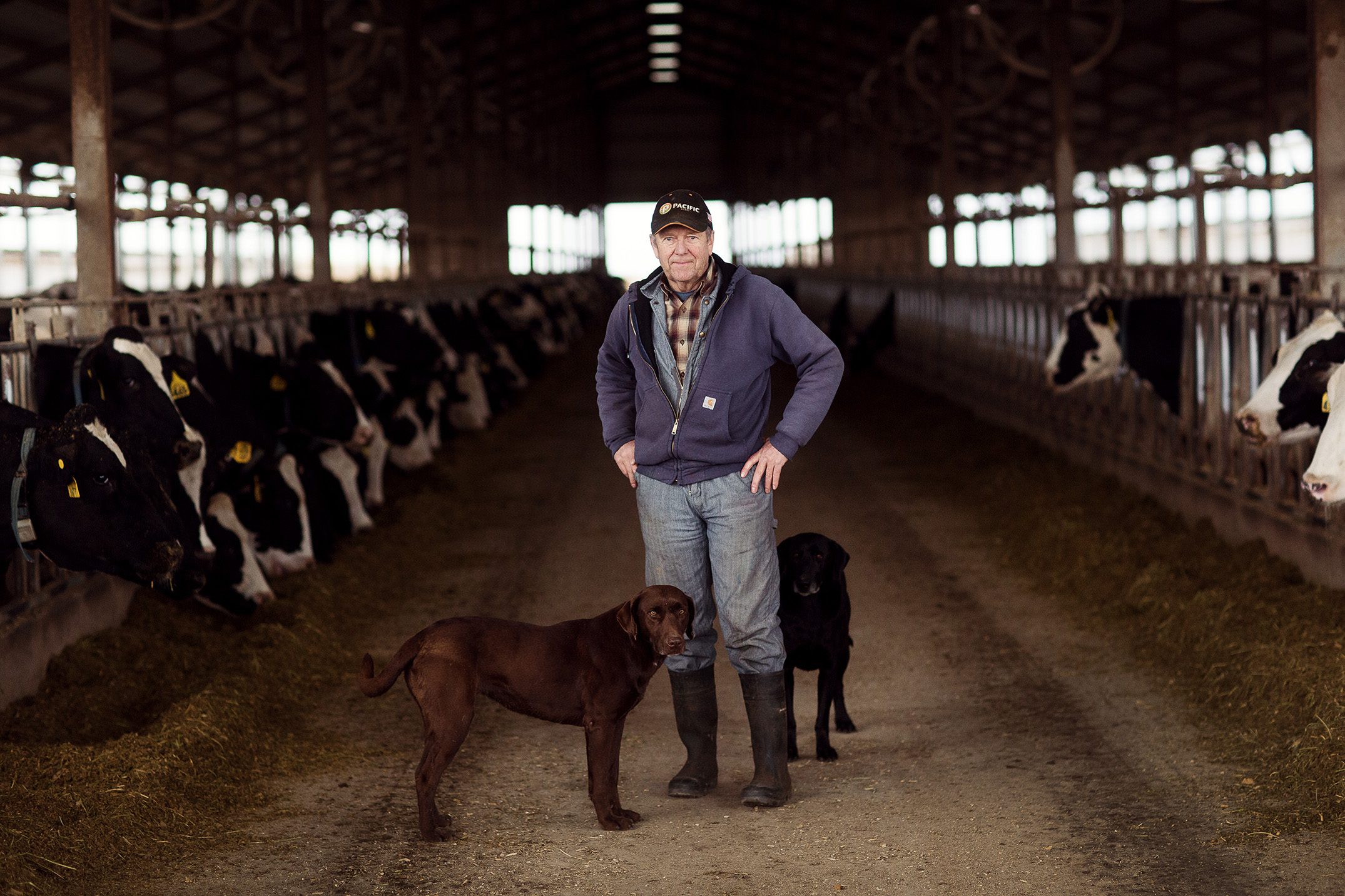 Mike Kane | Dairy farmer in Eastern Washington | Seattle documentary, editorial, and commercial photography